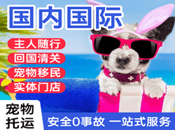 奇台江布拉克航空空运国际宠物托运 【国